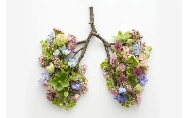Derin nefes çağrışımı yapan bir grafik. Akciğerler dallardan ve çiçeklerden yapılmış